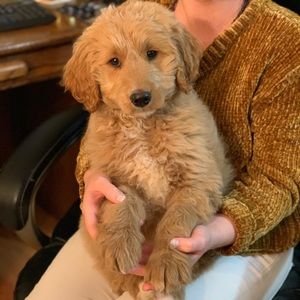 Meet your Posher, Kelsey